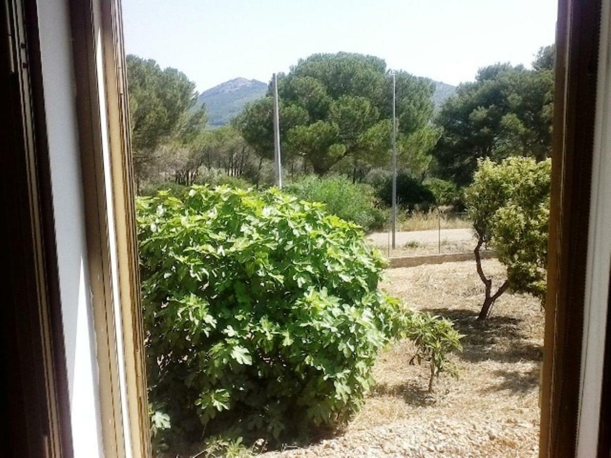 Privacy & Relax In Sardegna Bed and Breakfast Porto Conte Exteriör bild