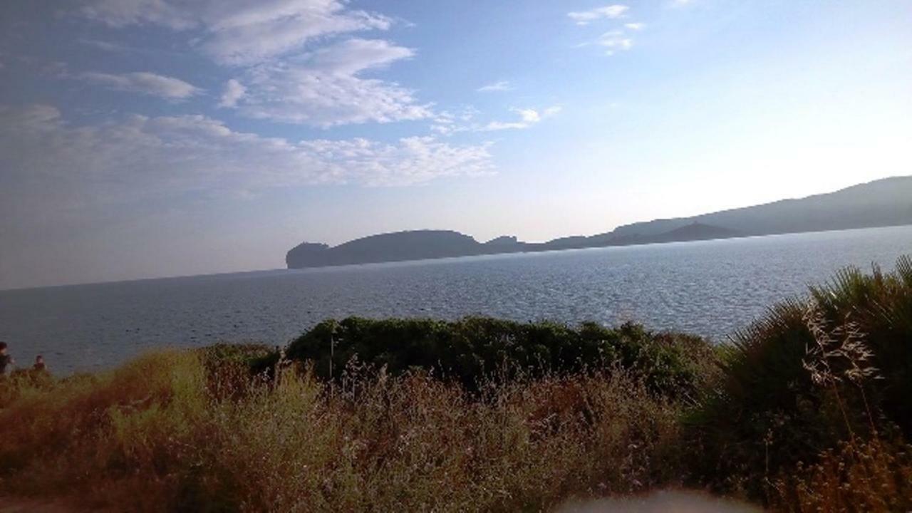 Privacy & Relax In Sardegna Bed and Breakfast Porto Conte Exteriör bild